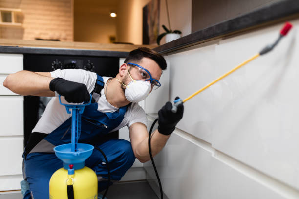 Best Wasp Removal Services  in Citrus Hills, FL