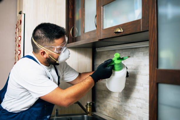 Best Termite Control Services  in Citrus Hills, FL