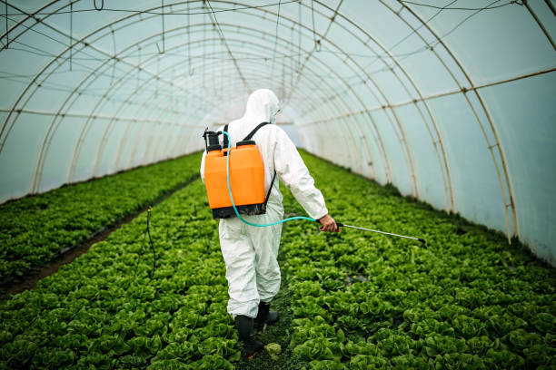 Best Affordable Pest Control Services  in Citrus Hills, FL