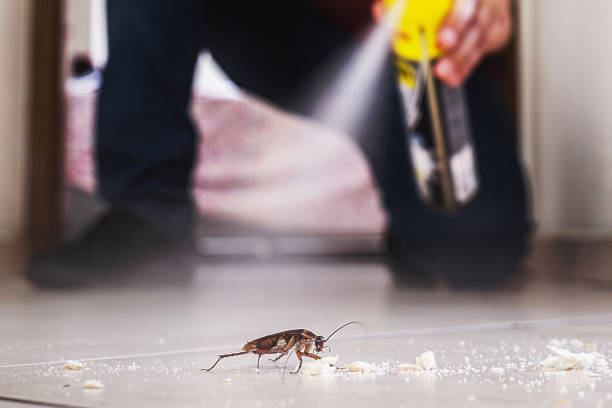 Pest Control Cost in Citrus Hills, FL