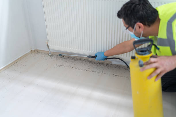 Best Mosquito Control Services  in Citrus Hills, FL