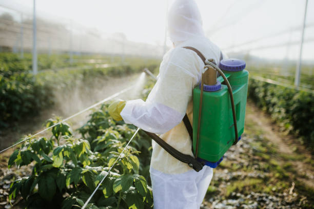  Citrus Hills, FL Pest Control Pros